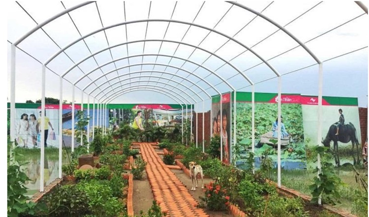 Vườn trồng cây bên trong dự án